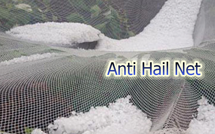 ຫນ້າທີ່ຂອງ Anti Hail Net