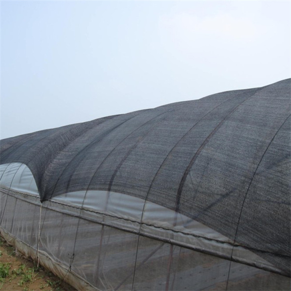 Sun Shade Net ສາມາດປ້ອງກັນອາກາດຫນາວໄດ້ບໍ?