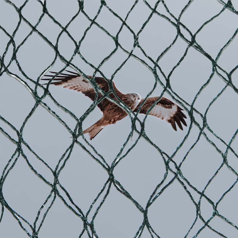 ທາງເລືອກວັດສະດຸ ແລະຂໍ້ດີ ແລະຂໍ້ເສຍຂອງຕາໜ່າງປ້ອງກັນນົກແມ່ນຫຍັງ?