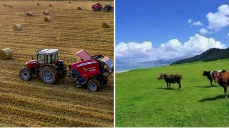 ການ​ນໍາ​ໃຊ້​ຂອງ​ການ​ຫໍ່​ສຸດ​ທິ bale ໃນ​ກິດ​ຈະ​ກໍາ​ກະ​ສິ​ກໍາ​