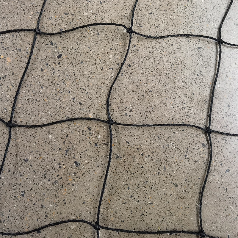 ພາລະບົດບາດຂອງ cricket nets