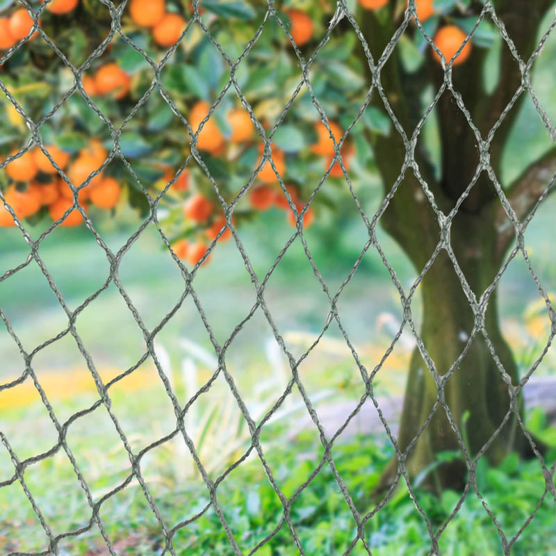 ປົກປ້ອງການປູກພືດ, ຊັບສິນ ແລະ ການລົງທຶນຂອງທ່ານດ້ວຍຕາໜ່າງນົກຊະນິດໜັກຂອງພວກເຮົາ!