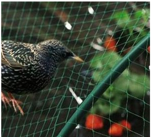 Anti Bird Net ສໍາລັບ Balcony