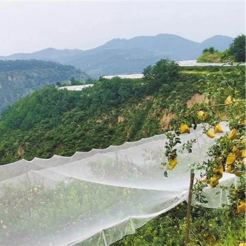 Anti Hail Protection Nets ສໍາລັບ Apple Trees
