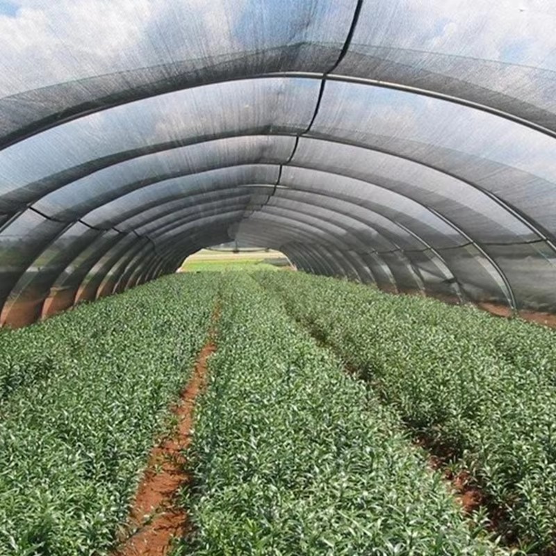 ຜ້າຮົ່ມສວນສໍາລັບພືດ 40% ແສງແດດສະກັດ